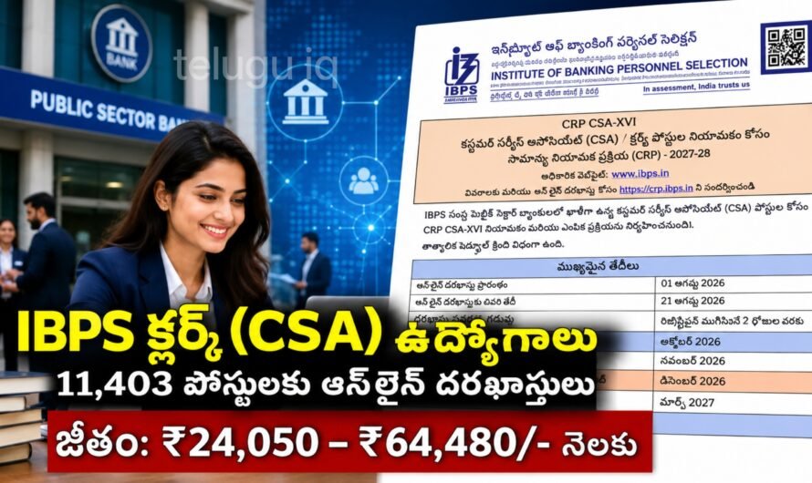 IBPS క్లర్క్ రిక్రూట్‌మెంట్ 2026: 11,403 ఉద్యోగాలు.. డిగ్రీ అర్హతతో బ్యాంక్ జాబ్‌కు అవకాశం